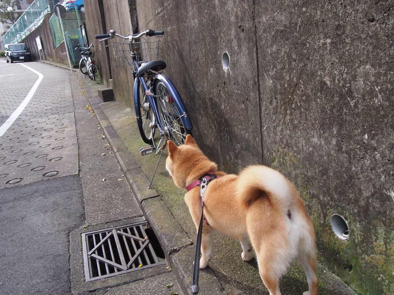 开云体育-_奇才队定乾坤，迎战联盟强队_，奇才队比赛最新战况