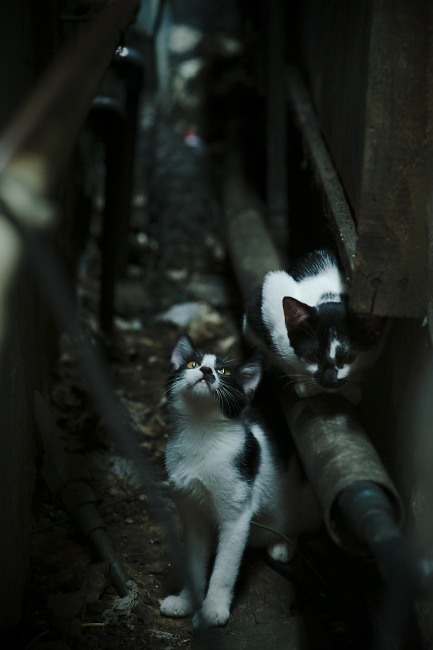 kaiyun开云·官方网站-“足球+大健康”产业融合创新，推动全民体育与健康产业深度结合