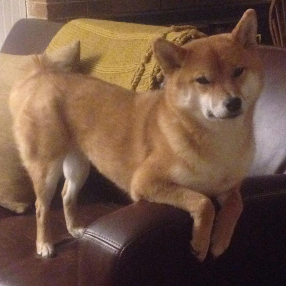 kaiyun中国官方网站-今年NBA季后赛场场激战，哪些比赛会成为“经典”？，今年nba季后赛战况