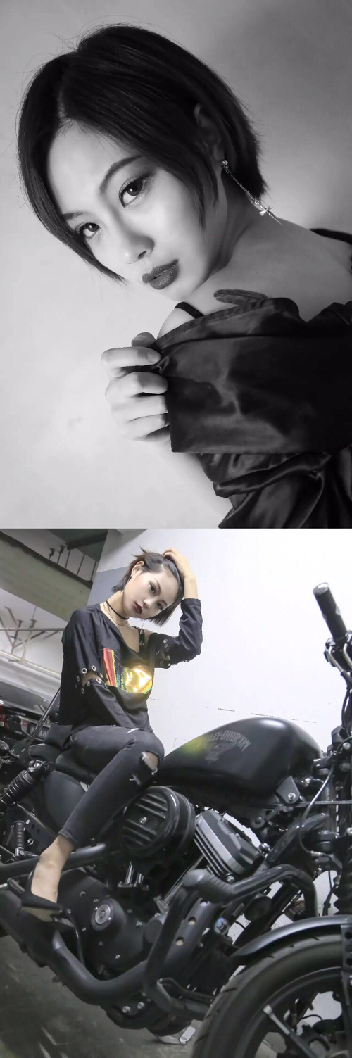 排球洲际赛:突破防线的精彩较量,排球竞赛