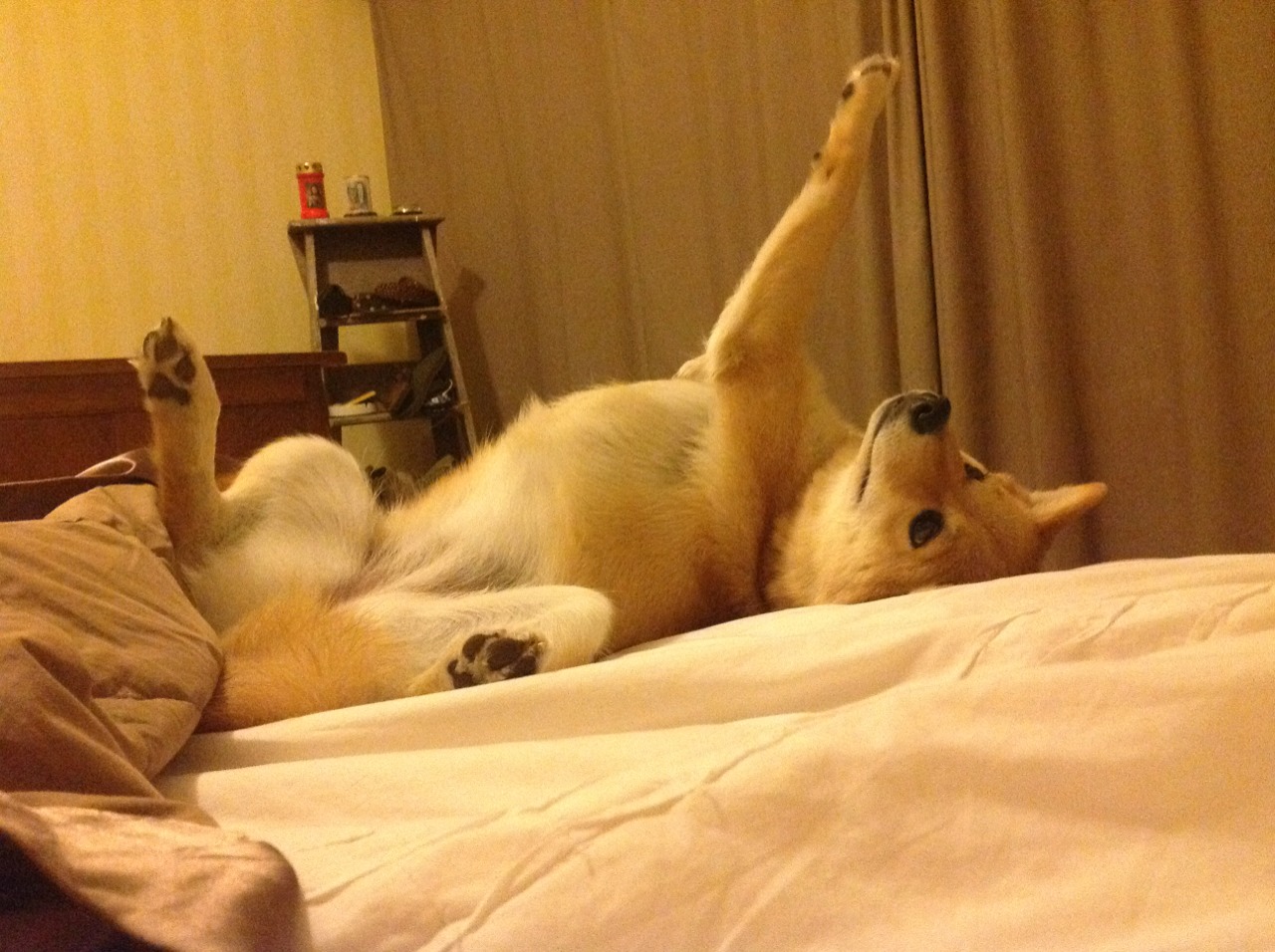 热火施展铁血防守,守住胜利果实