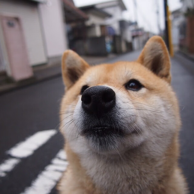 开云·体育官网APP下载-经典重现：那一场场永恒的“巅峰对决”，经典重现是什么意思