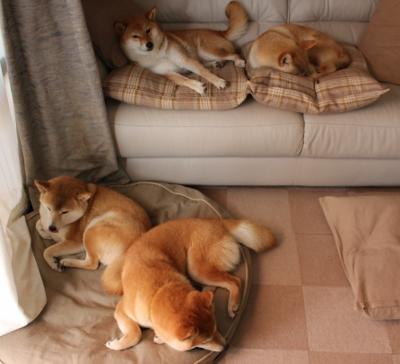 开云·体育官网APP下载-英超经典比赛，精彩入球和神级扑救刷出新高度，英超精彩进球