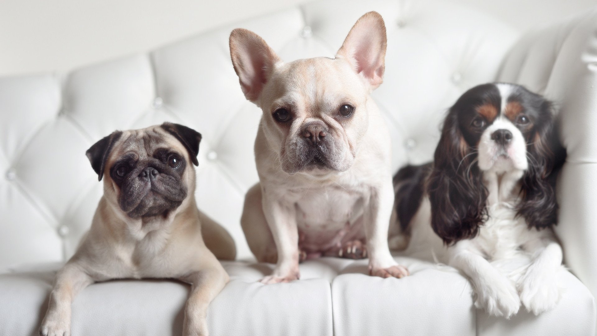 KAIYUN 中国大陆-赛场公益主题日：传递正能量，正能量公益活动名字大全