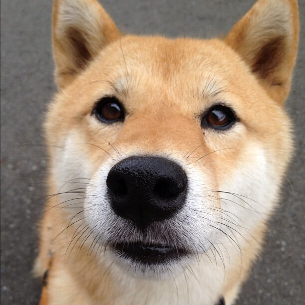 KAIYUNAPP-深圳瑜伽马拉松活动吸引大量参与者，2021瑜伽深圳展览