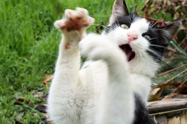 深圳瑜伽马拉松活动吸引大量参与者,2021瑜伽深圳展览