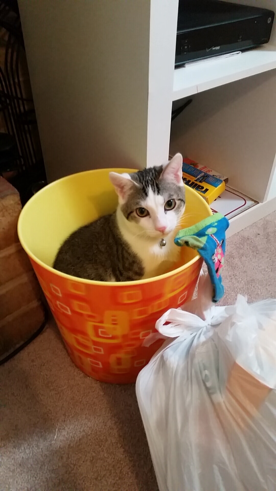 世界青少年足球友谊赛在广州火热举行,青春无限可能,国际青少年足球