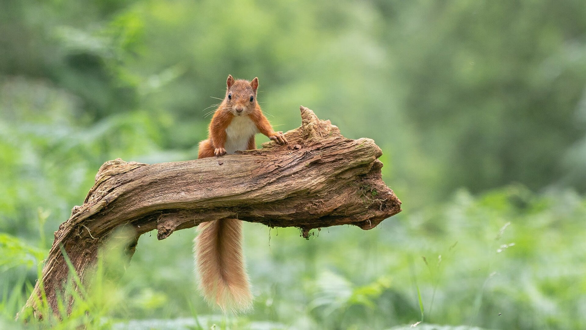 青训基础设施建设亟待加快，青训基础设施建设亟待加快推进