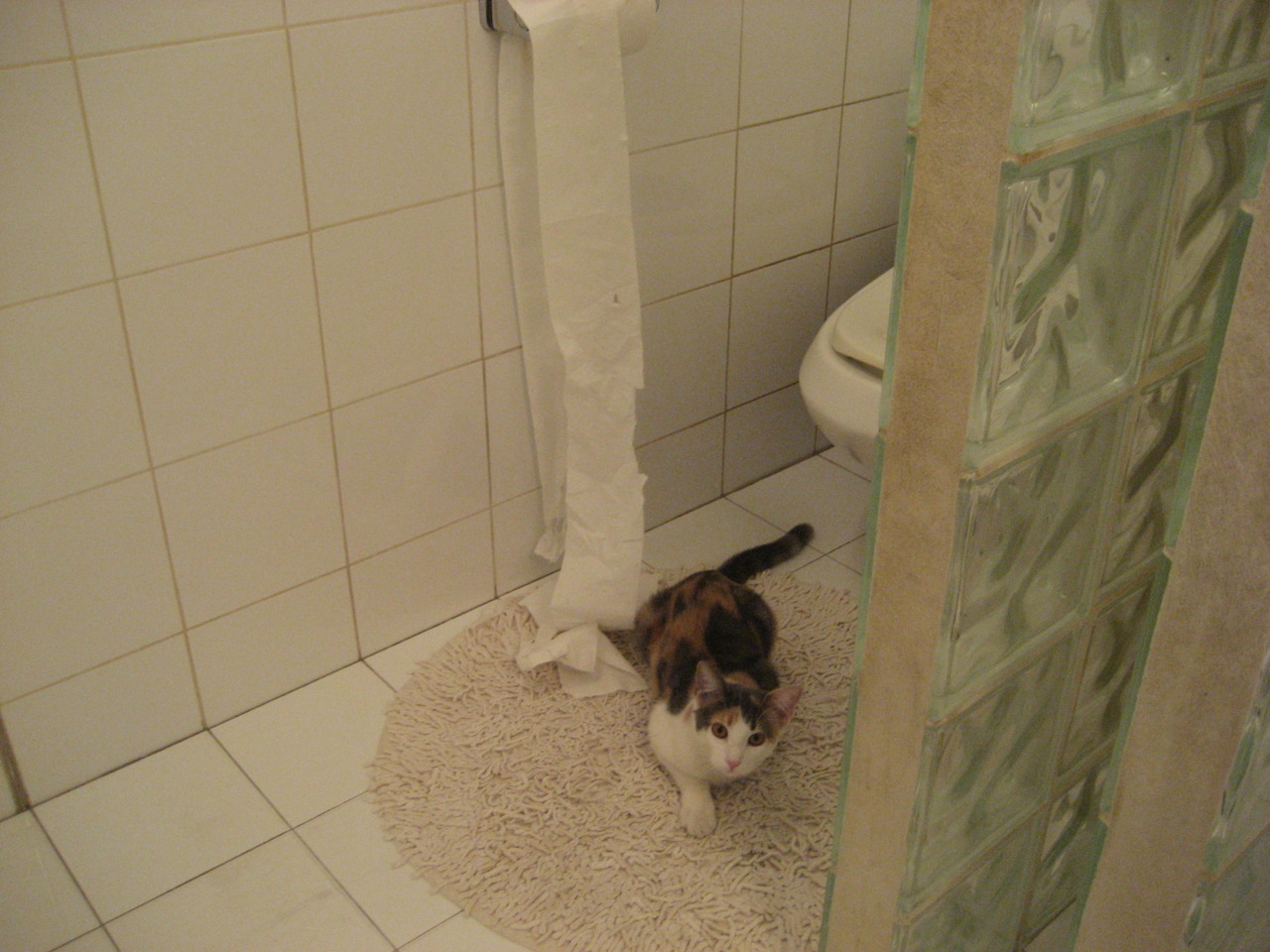 开云平台-与世界高手争锋 李冰洁无畏出击