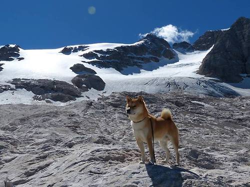 开云·体育官网APP下载-张雨霏体验高原训练备战世锦赛，张雨霏比赛项目