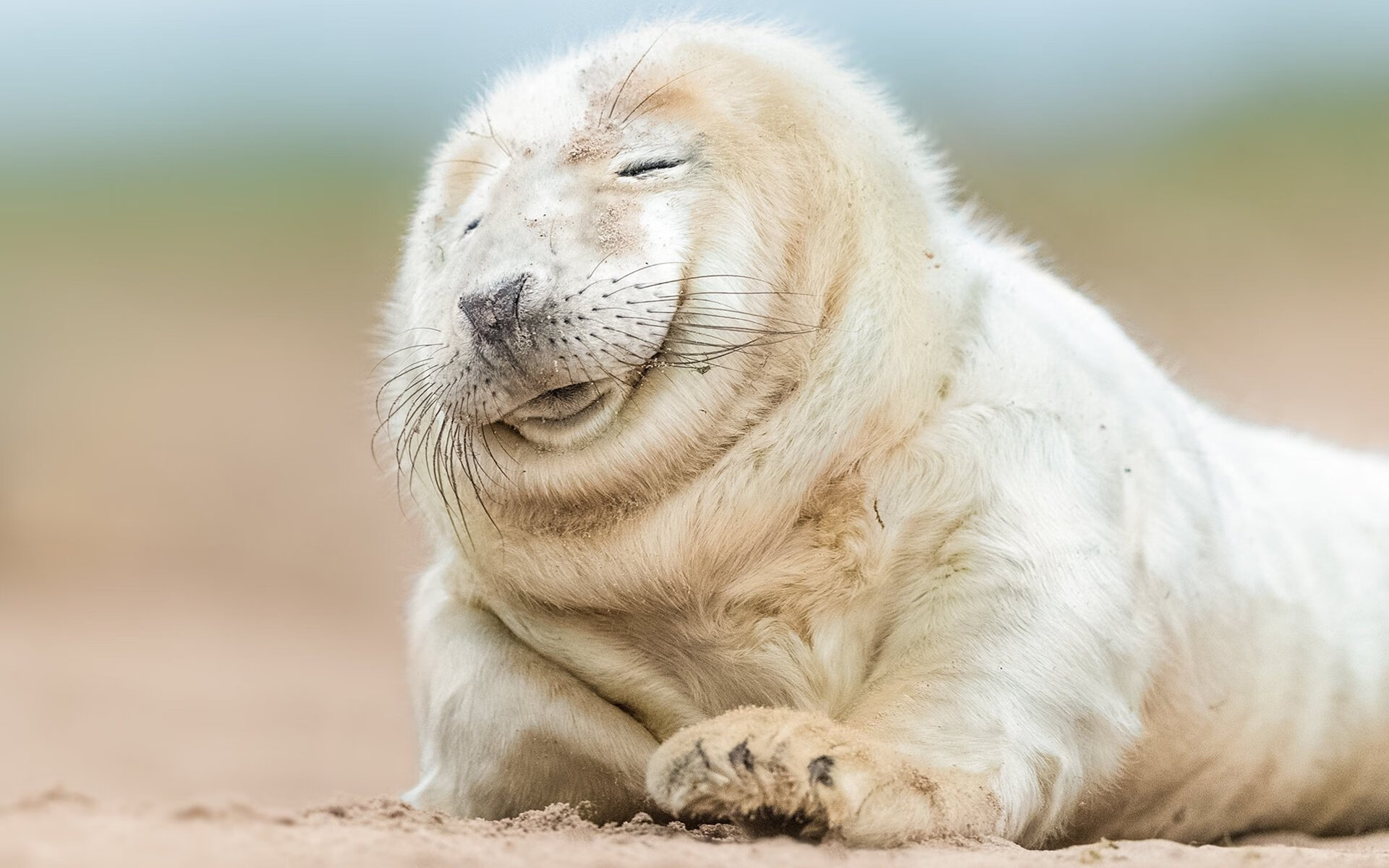 开云官方网页登录-朱婷率队晋级四强女排世界杯，朱婷率队晋级四强女排世界杯是哪一年