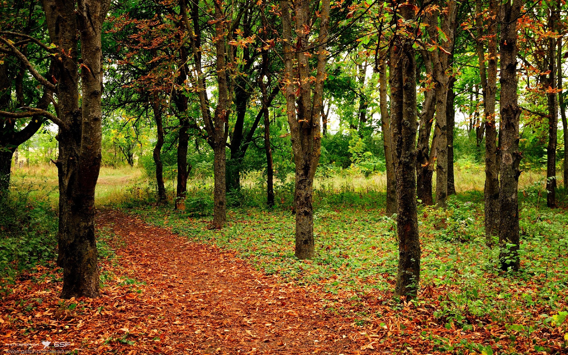 开云官方网站-英超冲刺季：胜负悬念持续升温！，英超收官战